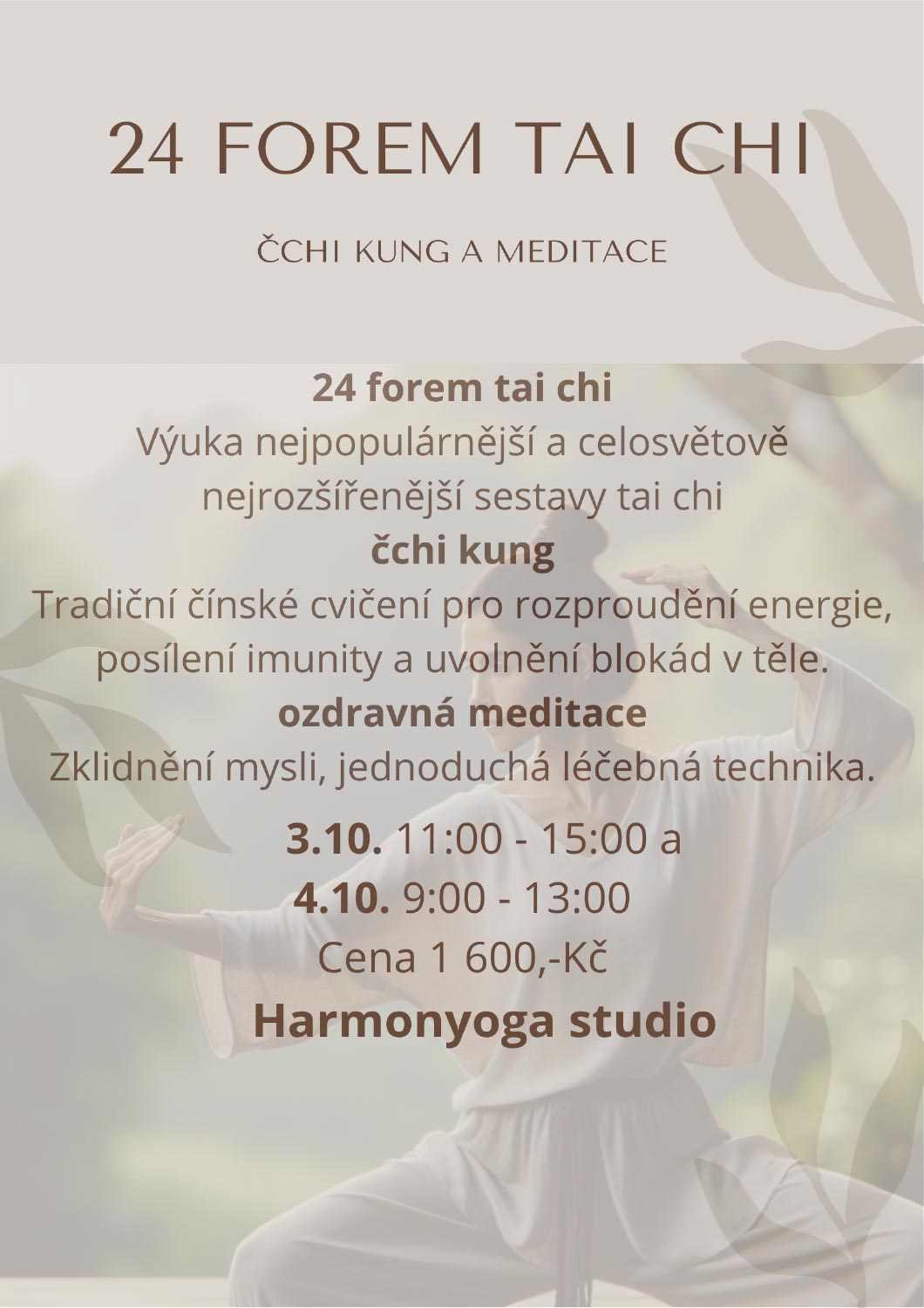 24 forem TAI CHI
